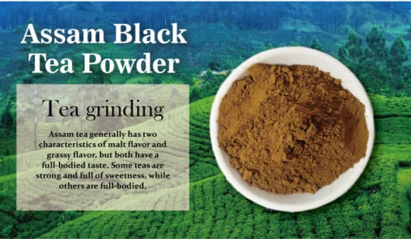 Assam black tea powder supplier