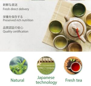 Green Tea Extract